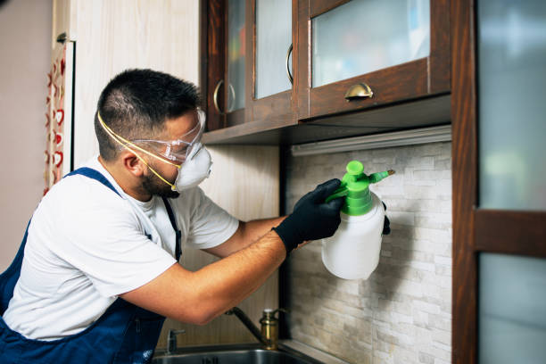 Best Rat Extermination Near Me  in Cranston, RI