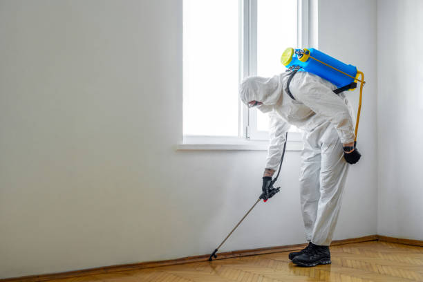 Best Bed Bug Extermination  in Cranston, RI