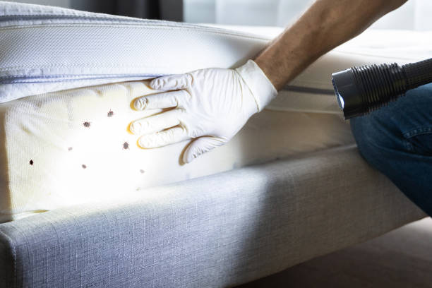 Best Mosquito Control Services  in Cranston, RI