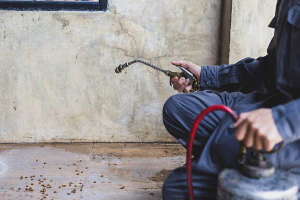 Best Pest Prevention Services  in Cranston, RI